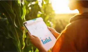 6 - confiance - Revisão Bancária para Agronegócio